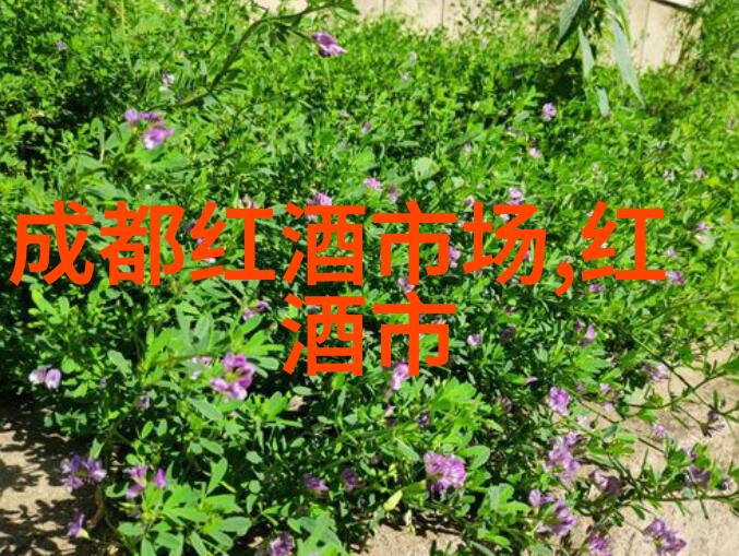 贵腐甜白葡萄酒价格贵腐甜白葡萄酒怎么样