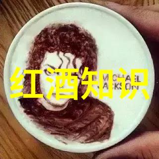 红酒开瓶器怎么使用第二篇